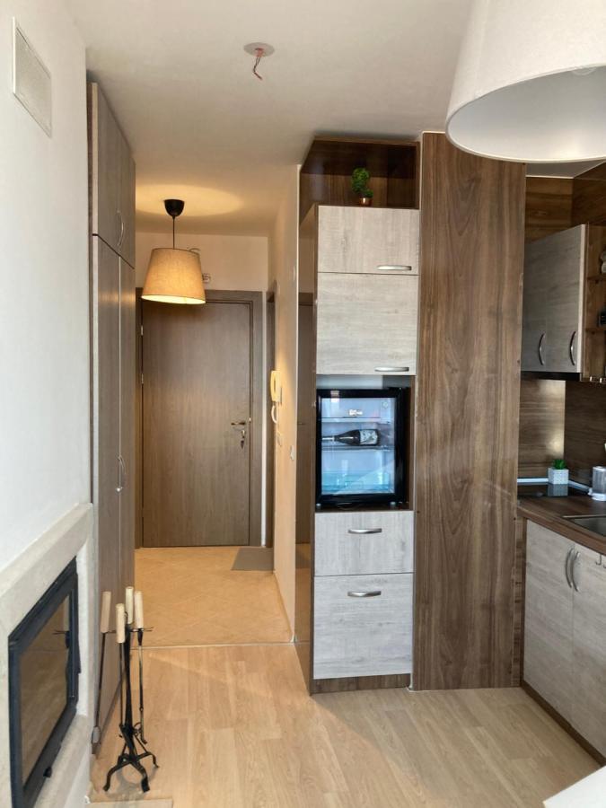 Mirabell Studio Bansko - Amazing View & Fireplace Exteriör bild