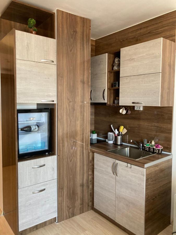 Mirabell Studio Bansko - Amazing View & Fireplace Exteriör bild