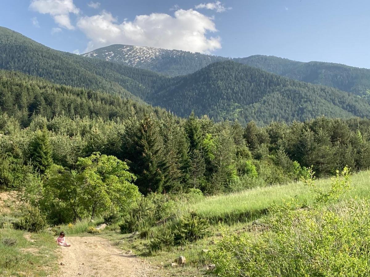 Mirabell Studio Bansko - Amazing View & Fireplace Exteriör bild